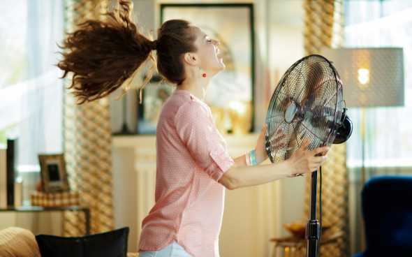 Фото: Alliance Images/shutterstock.com