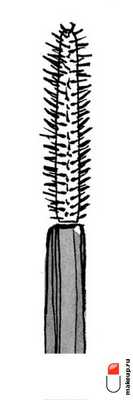 прямая щеточка