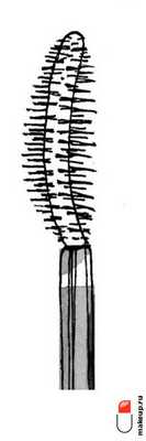 изогнутая щеточка