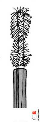 как красить ресницы