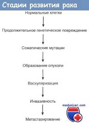 Стадии развития рака