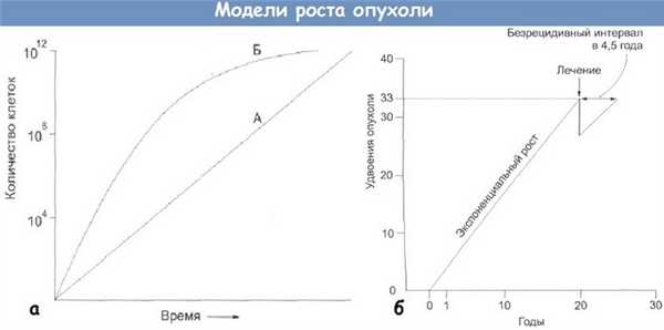 Модели роста опухоли