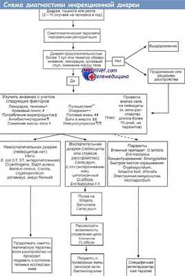 Схема диагностики инфекционной диареи
