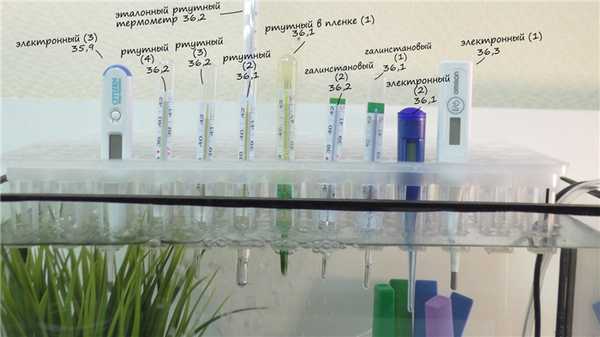 Термометр для тела: какой самый точный? рис-6