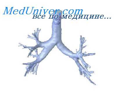 очаг воспаления в бронхах