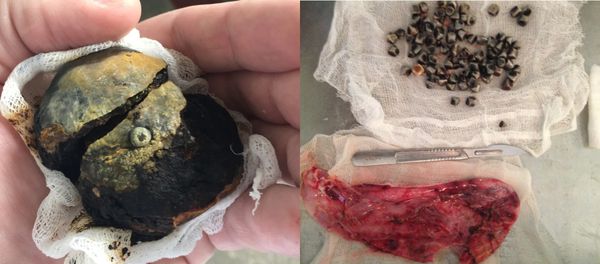 Большой и маленькие камни