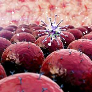 Защита от чужеродных агентов