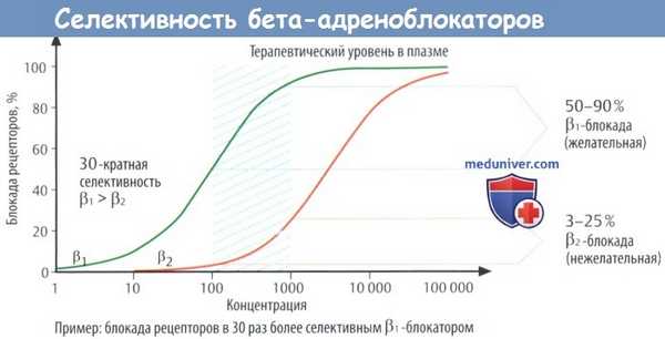 Селективность бета-адреноблокаторов