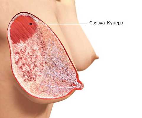 Связка Купера