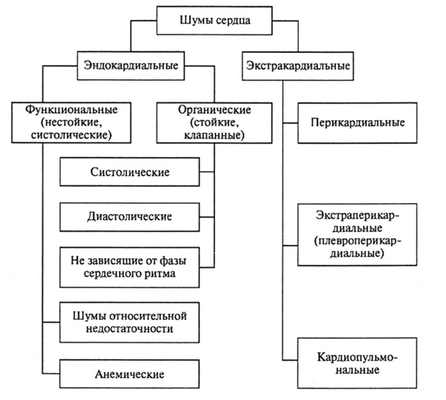 Классификация шумов сердца