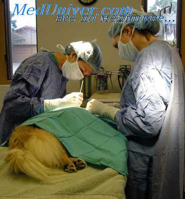 классификация травм