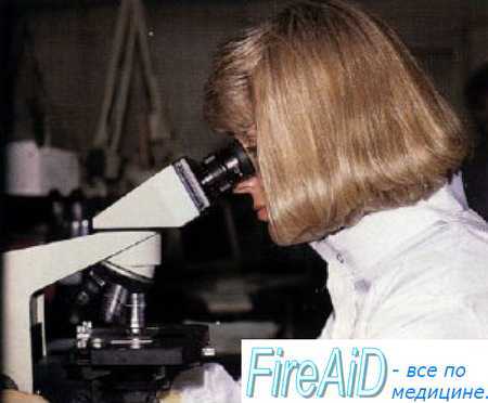 Классификация ( формы ) инфекционных заболеваний. Экзогенные инфекции. Эндогенные инфекции.