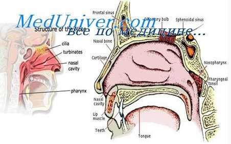запаховые вещества