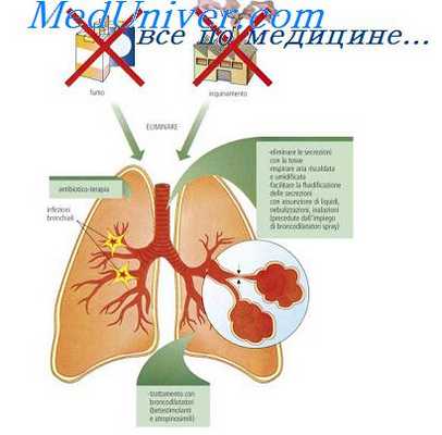защитные реакции организма