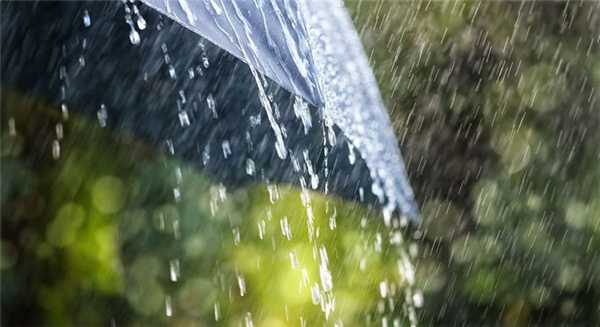 количество осадков