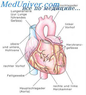 кардиальная астма