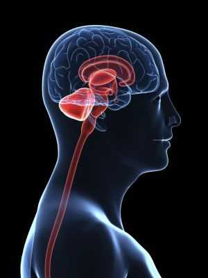 исследование головного мозга