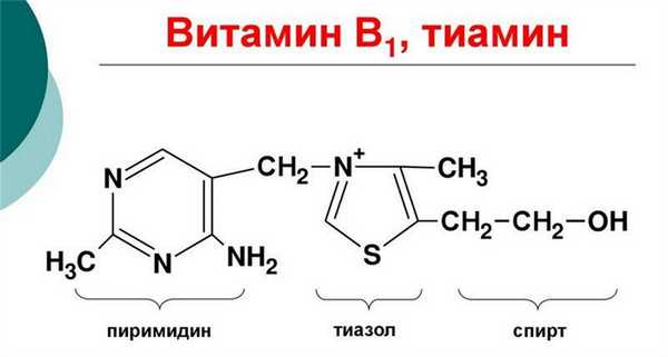 Химическая формула и структура витамина в1