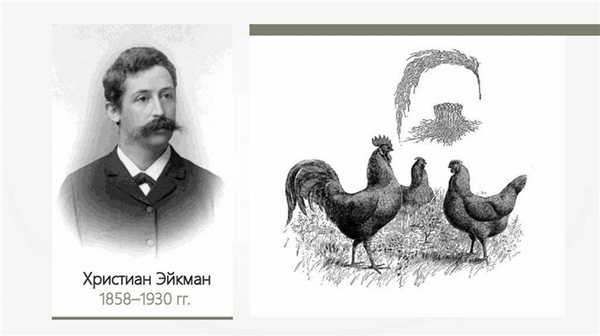 Христиан Эйкман