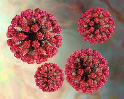 Вирус краснухи