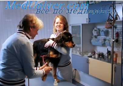 газовая гангрена