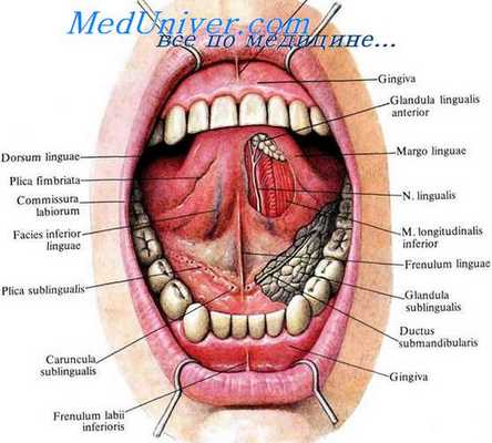 поражение лицевого нерва