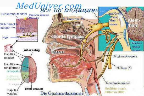 канал лицевого нерва