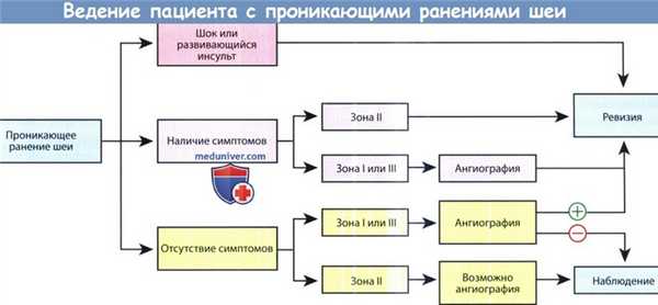 Ведение проникающих ранений шеи