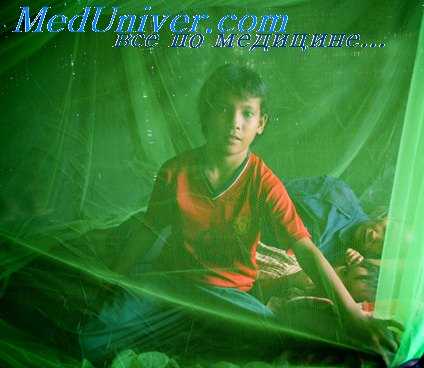 хантавирусная инфекция