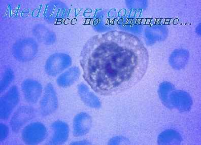 клиника глпс