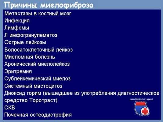 Причины хронического идиопатического миелофиброза