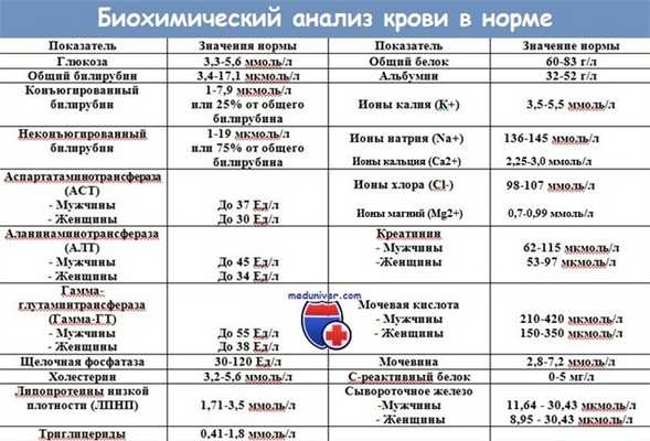 биохимический анализ крови в норме