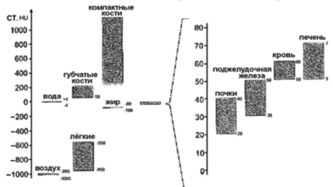 Шкала Ха- унсфилда. Величина СТ - линейный коэффициент ослабления излучения в ткани в каждом объёмном элементе отнесённый к р для воды