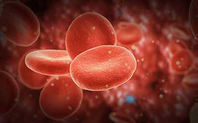 Учёт среднего объёма эритроцита - Веримед