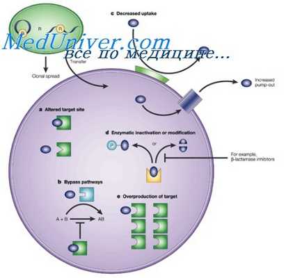 концентрация антибиотиков