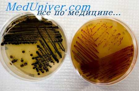 антибиотик