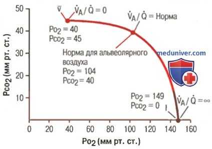 Вентиляционно-перфузионный коэффициент. Парциальное давление кислорода и двуокиси углерода