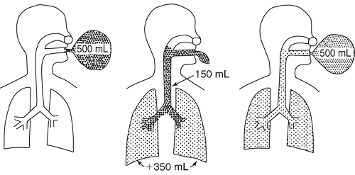 Объем функционально мертвого пространства