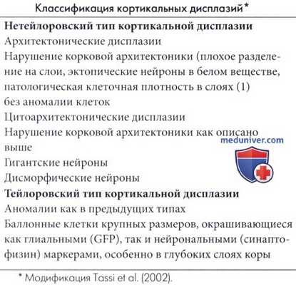 Классификация кортикальных дисплазий