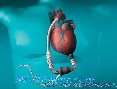 гормональные влияния на сердце