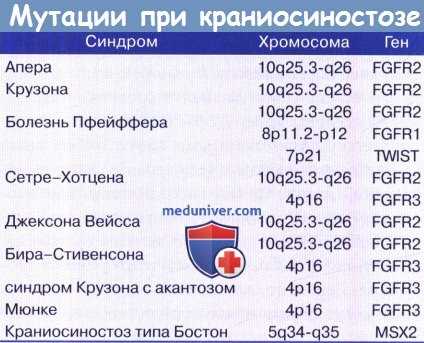 Мутации при краниосиностозе
