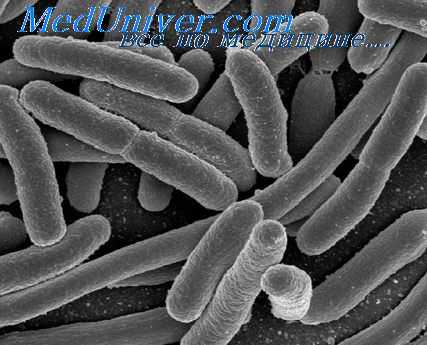 кишечные инфекции