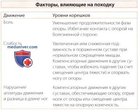 Объективное обследование при нарушении походки