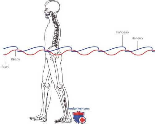 Критерии нормальной ходьбы и походки