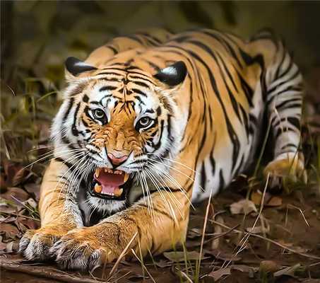 Как принять объективную критику - советы