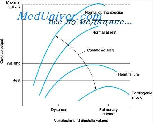 сердечный выброс