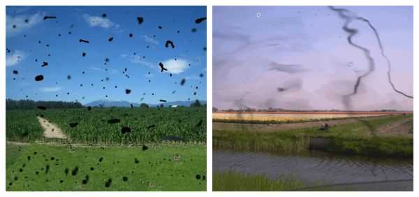 Плавающие мушки при гемофтальме