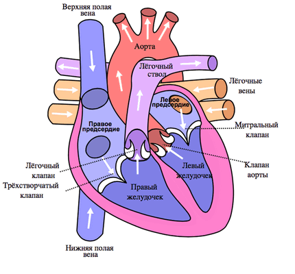 snimok-ekrana-2016-11-22-v-23-05-57