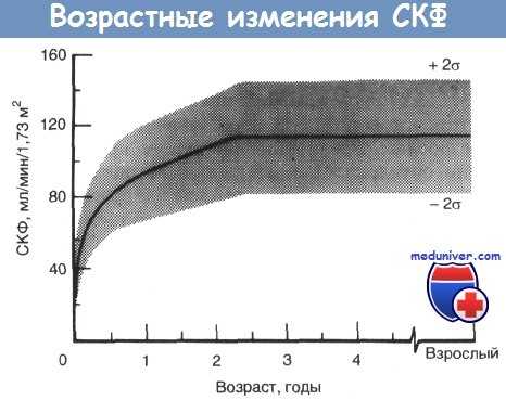скорость клубочковой фильтрации (СКФ)