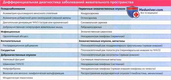 Введение в лучевую диагностику жевательного пространства: лучевая анатомия, методы исследования